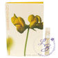 Summer - Eau De Parfum